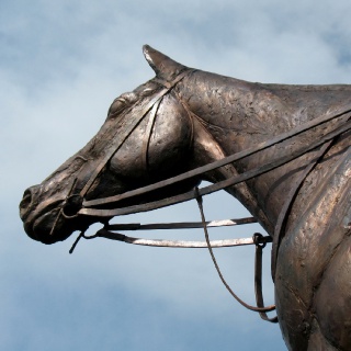 HORSE PORTRAIT OF KINCSEM 2016